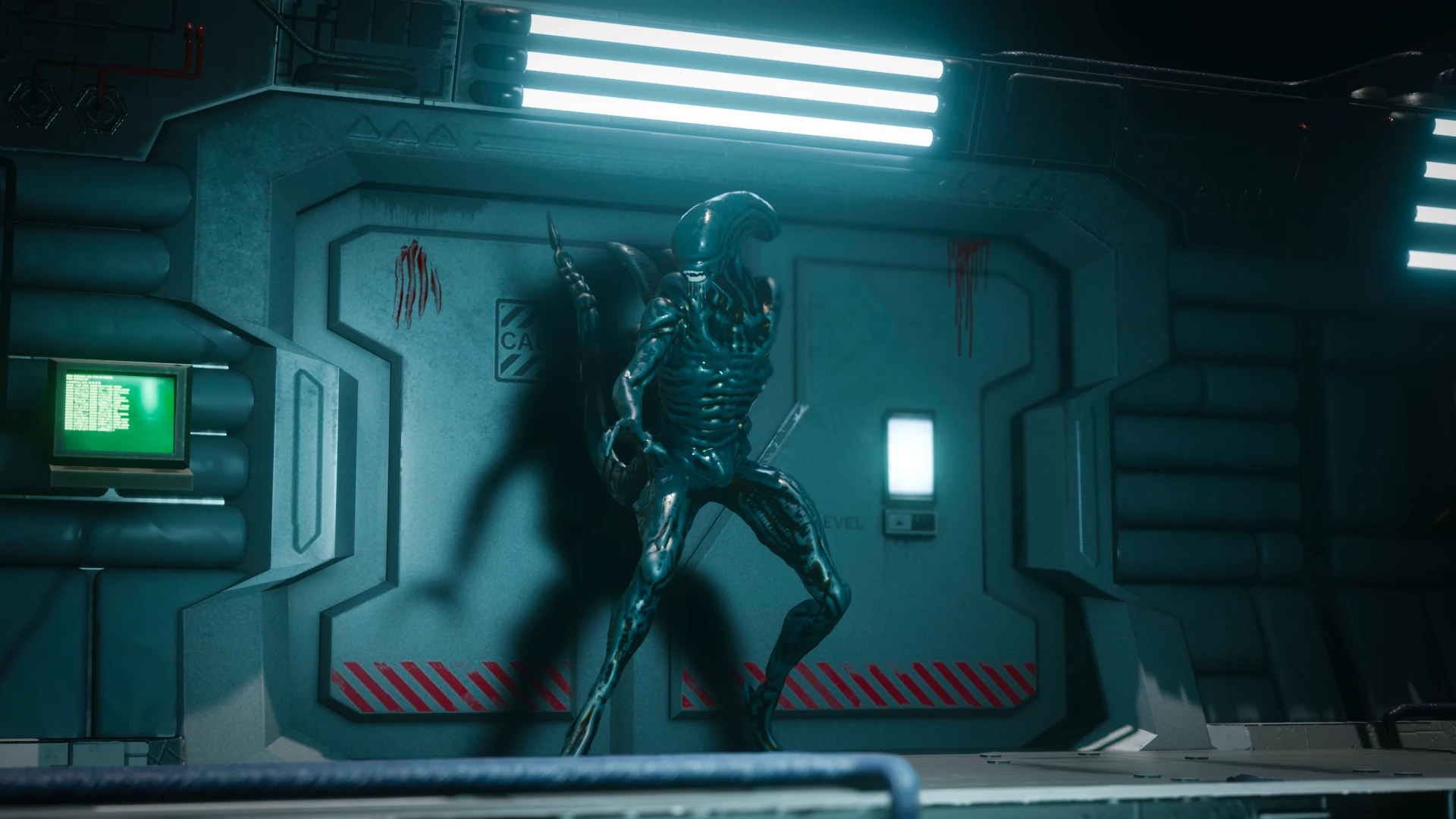 Xenomorph — ALIEN — project image 1